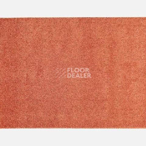 Ковролин VM Carpet Tessa 2167 Ornage фото 1 | FLOORDEALER
